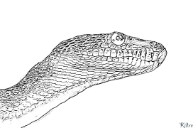 змій Розмальовки Для Друку